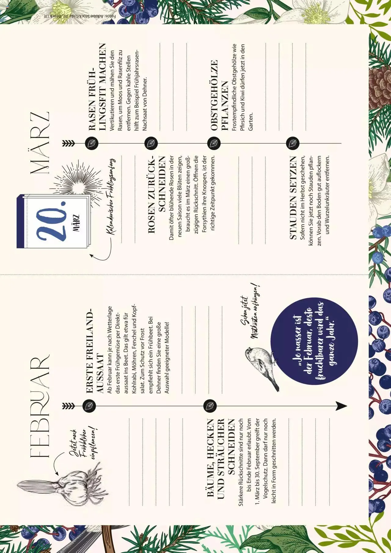 Dehner Flugblatt von 10. Oktober bis 31. Dezember 2023 - Flugblätt seite  51