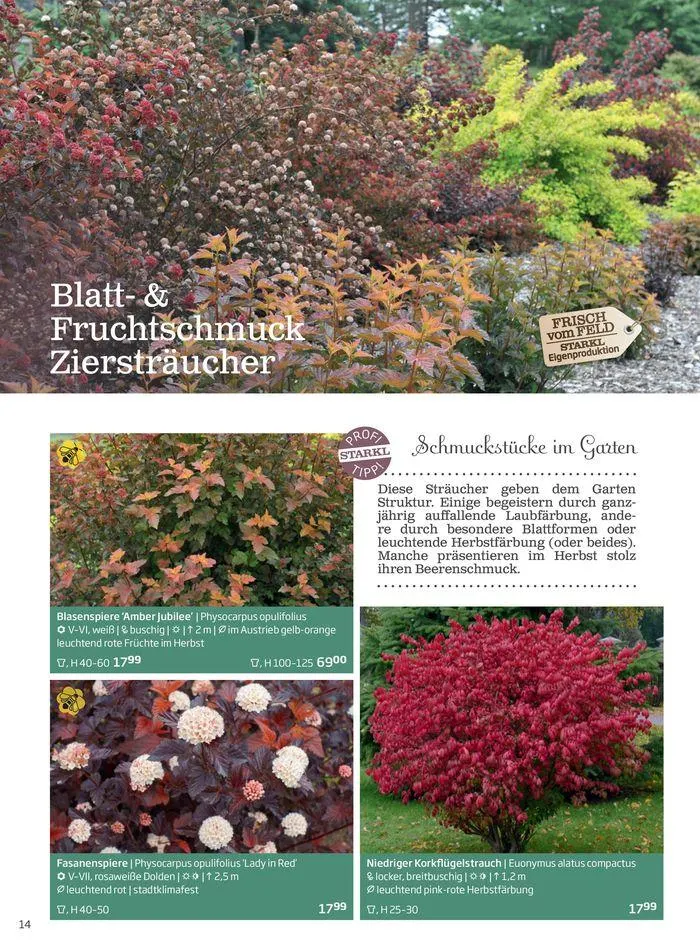 Gartencenter Jahreskatalog 2024 von 20. Mai bis 31. Dezember 2024 - Flugblätt seite 14