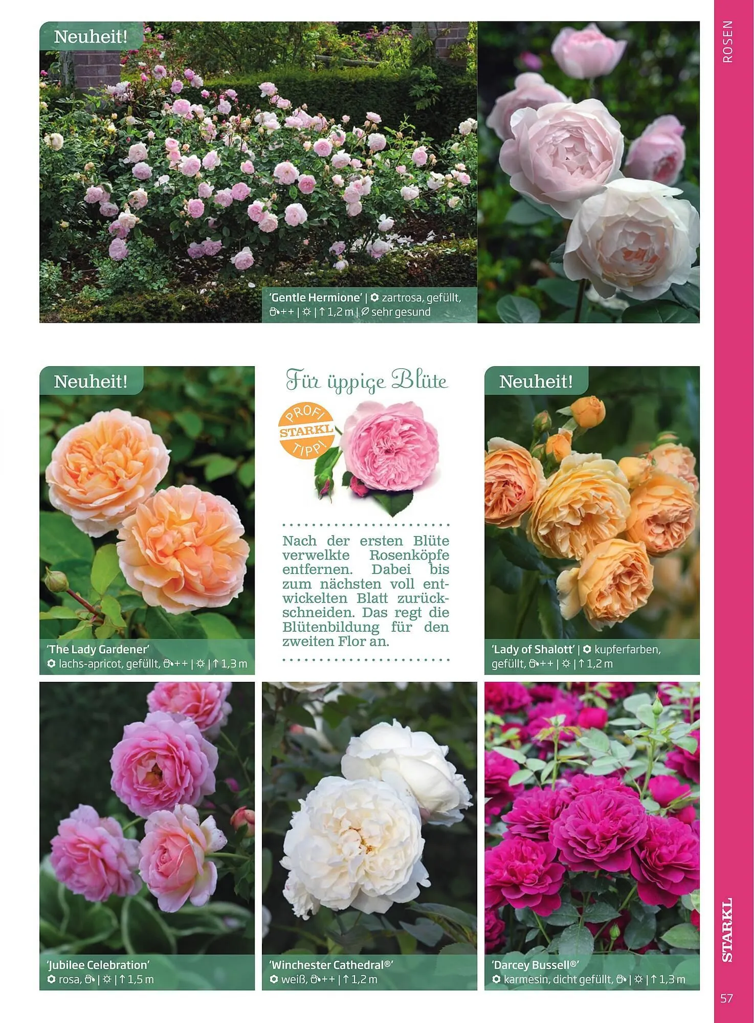 Starkl Flugblatt von 1. Jänner bis 31. Dezember 2023 - Flugblätt seite 57