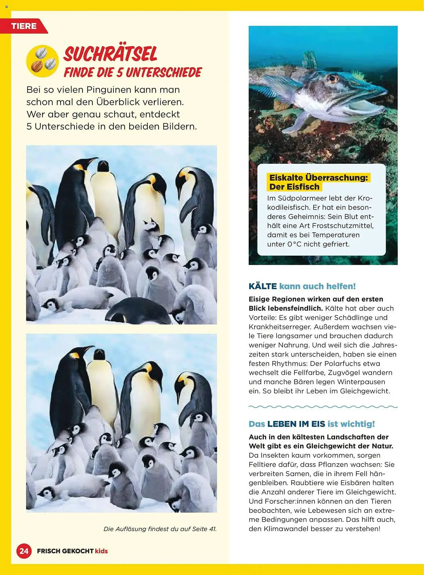 Billa Flugblatt von 1. Dezember bis 28. Februar 2026 - Flugblätt seite  24