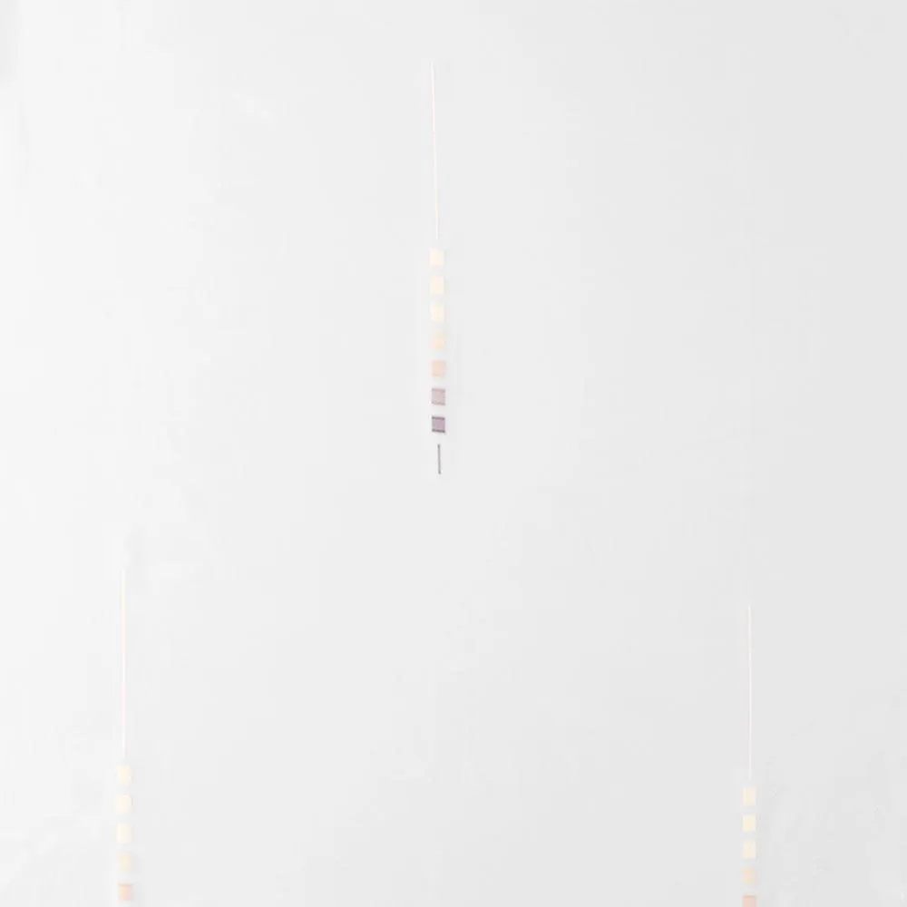 REITER Store Scherli