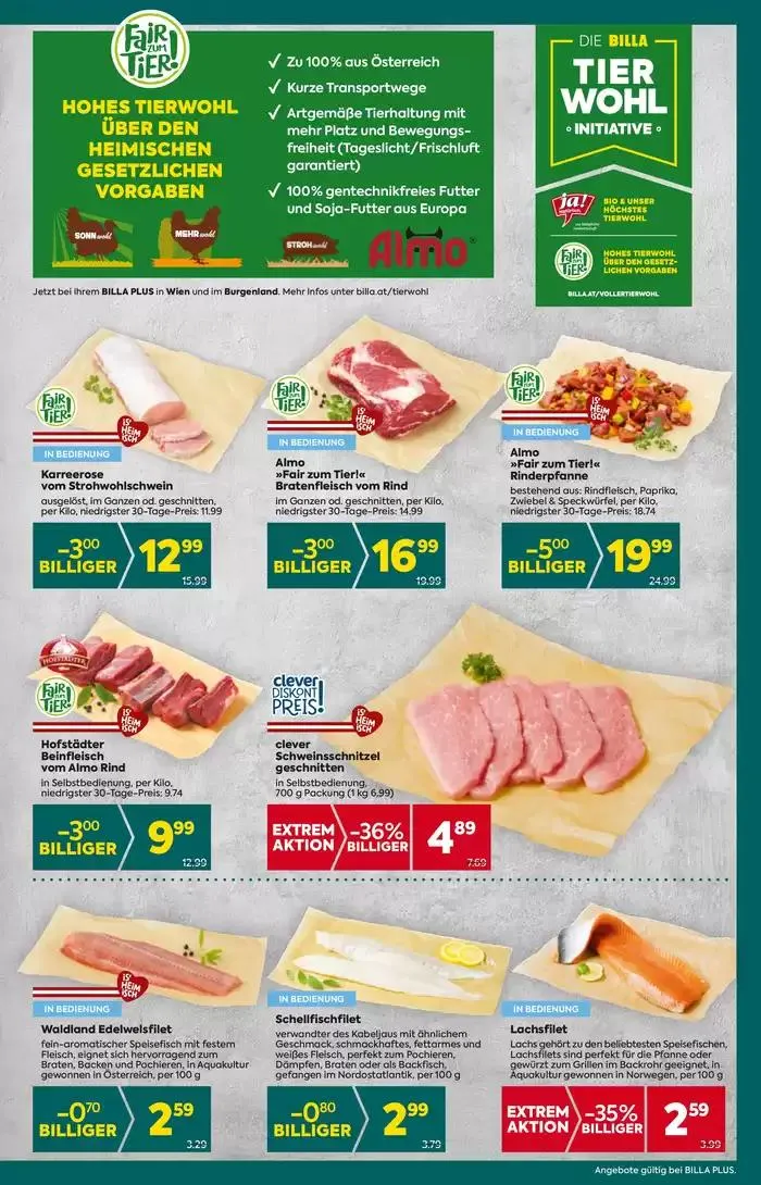 BILLA PLUS Wien von 9. Jänner bis 15. Jänner 2025 - Flugblätt seite 11