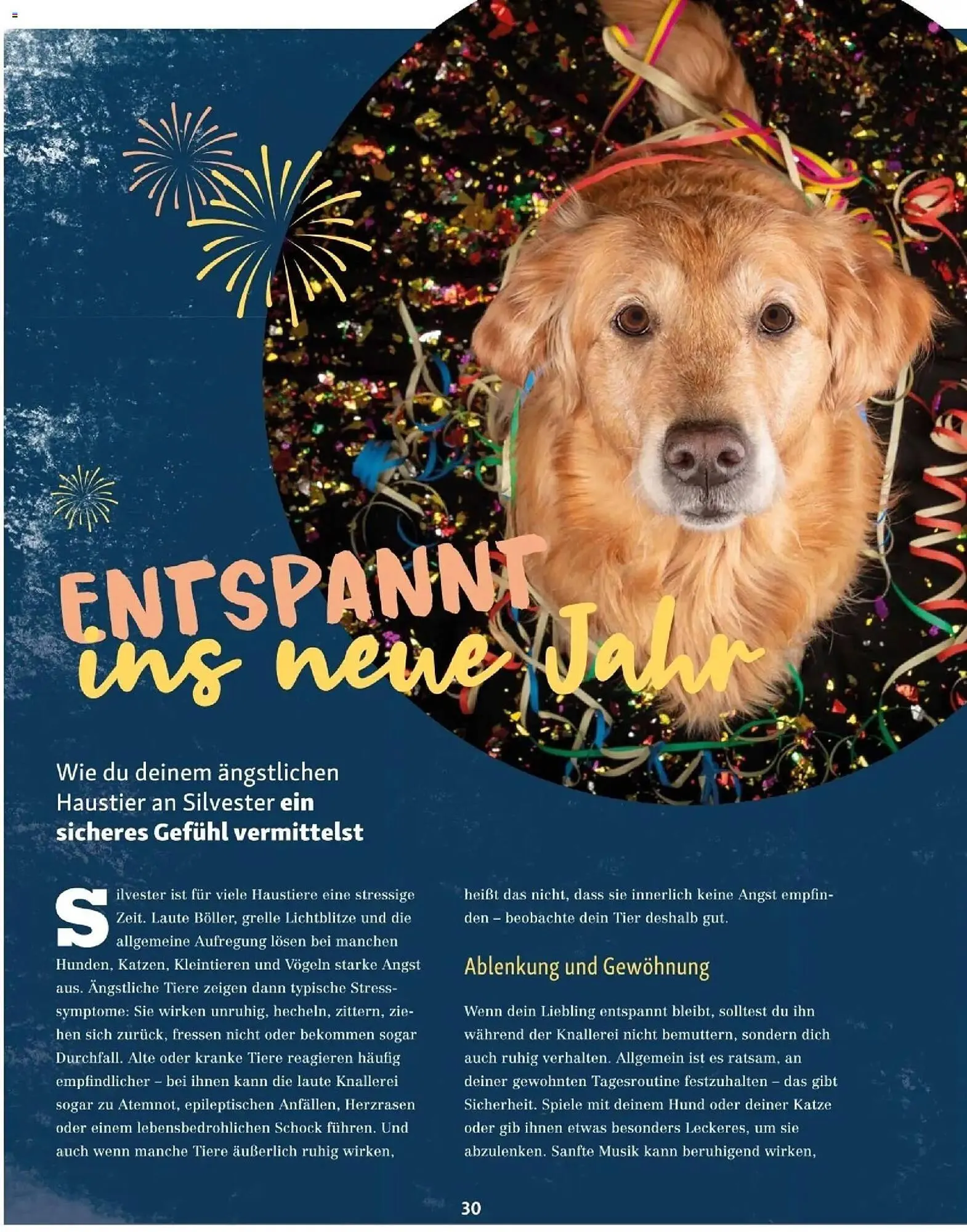 Fressnapf Flugblatt von 1. November bis 31. Dezember 2025 - Flugblätt seite 30