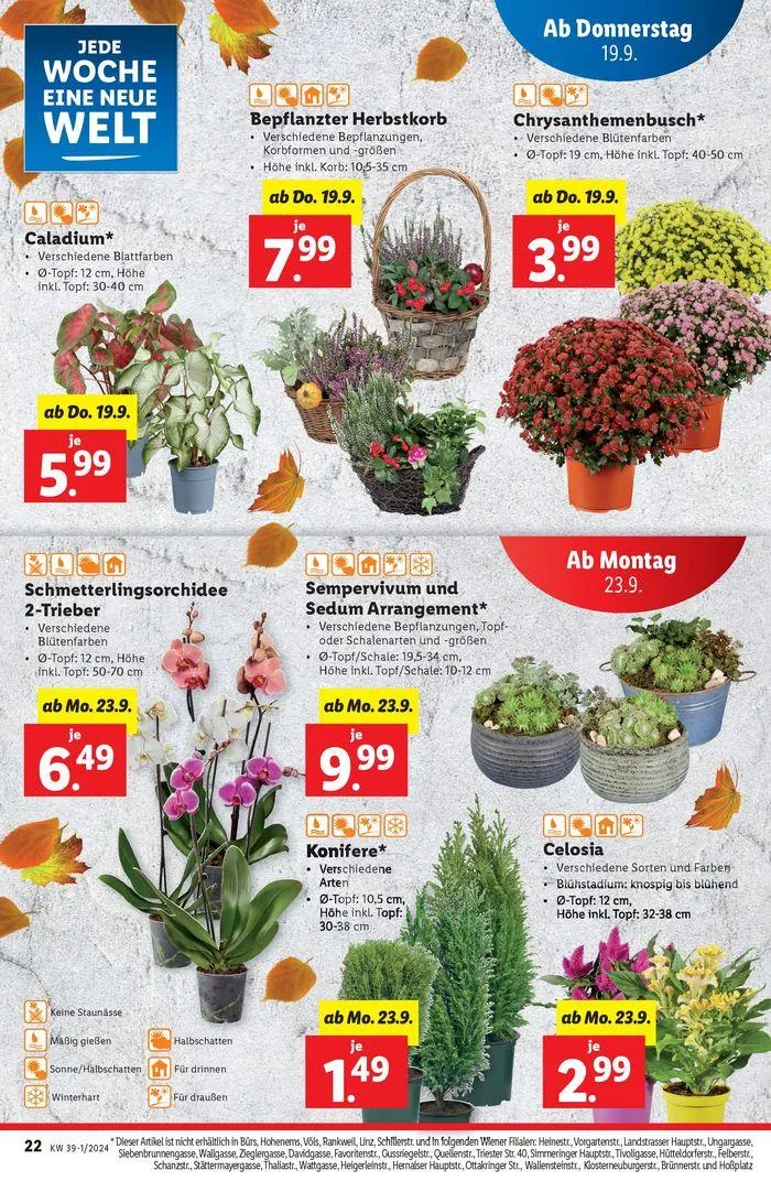 Exklusive Schnäppchen von 19. September bis 25. September 2024 - Flugblätt seite 22