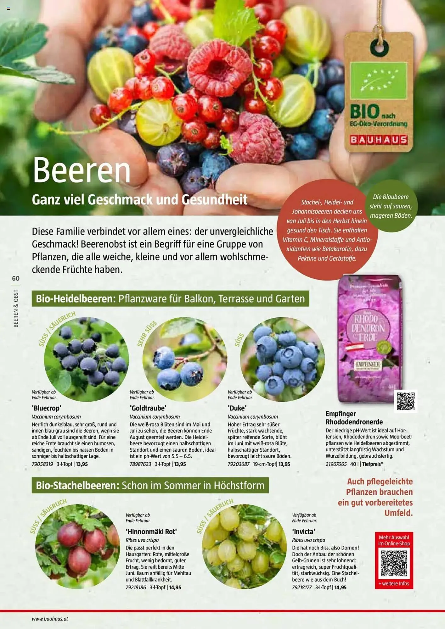 Bauhaus Flugblatt von 1. Juli bis 6. März 2026 - Flugblätt seite 60