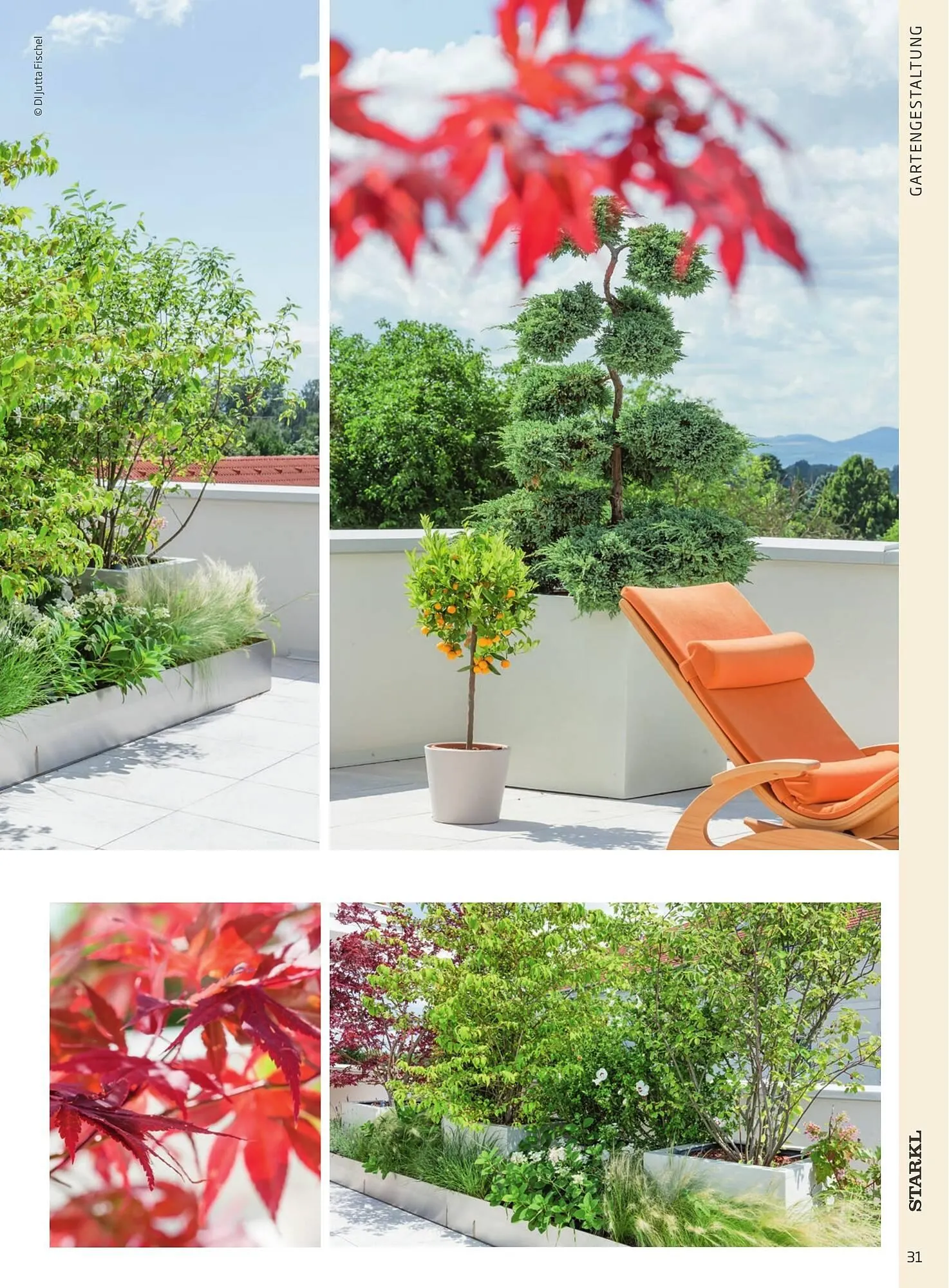 Starkl Flugblatt von 6. Juni bis 31. Dezember 2025 - Flugblätt seite  31