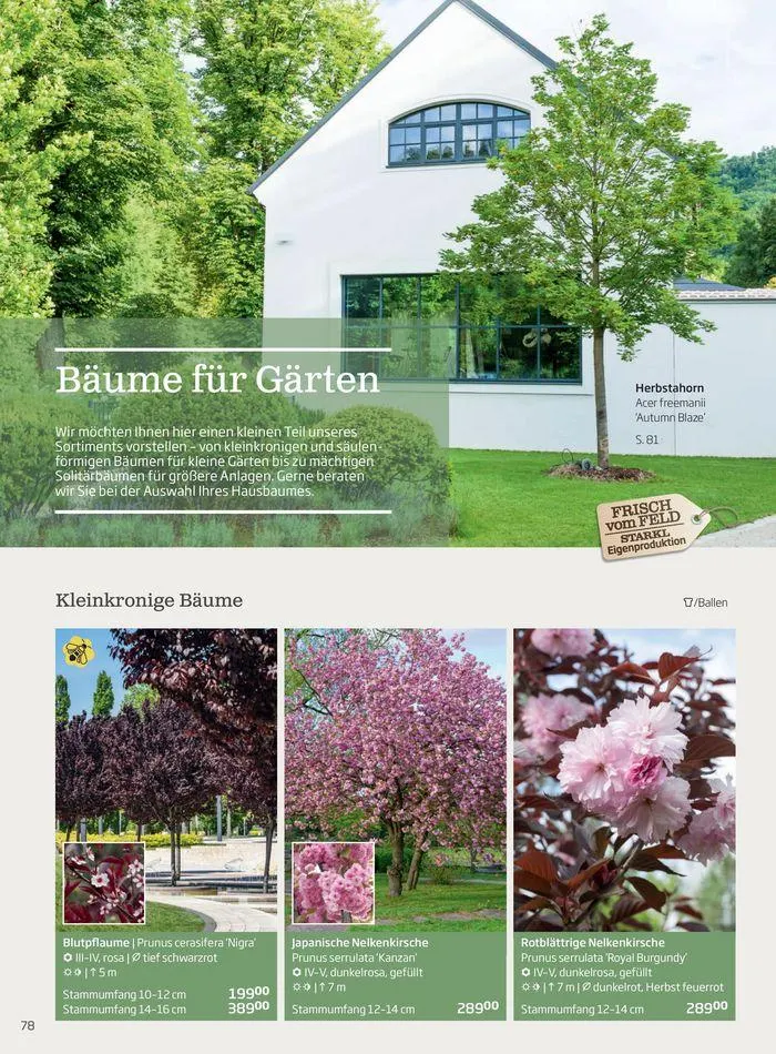 Gartencenter Jahreskatalog 2024 von 20. Mai bis 31. Dezember 2024 - Flugblätt seite  78