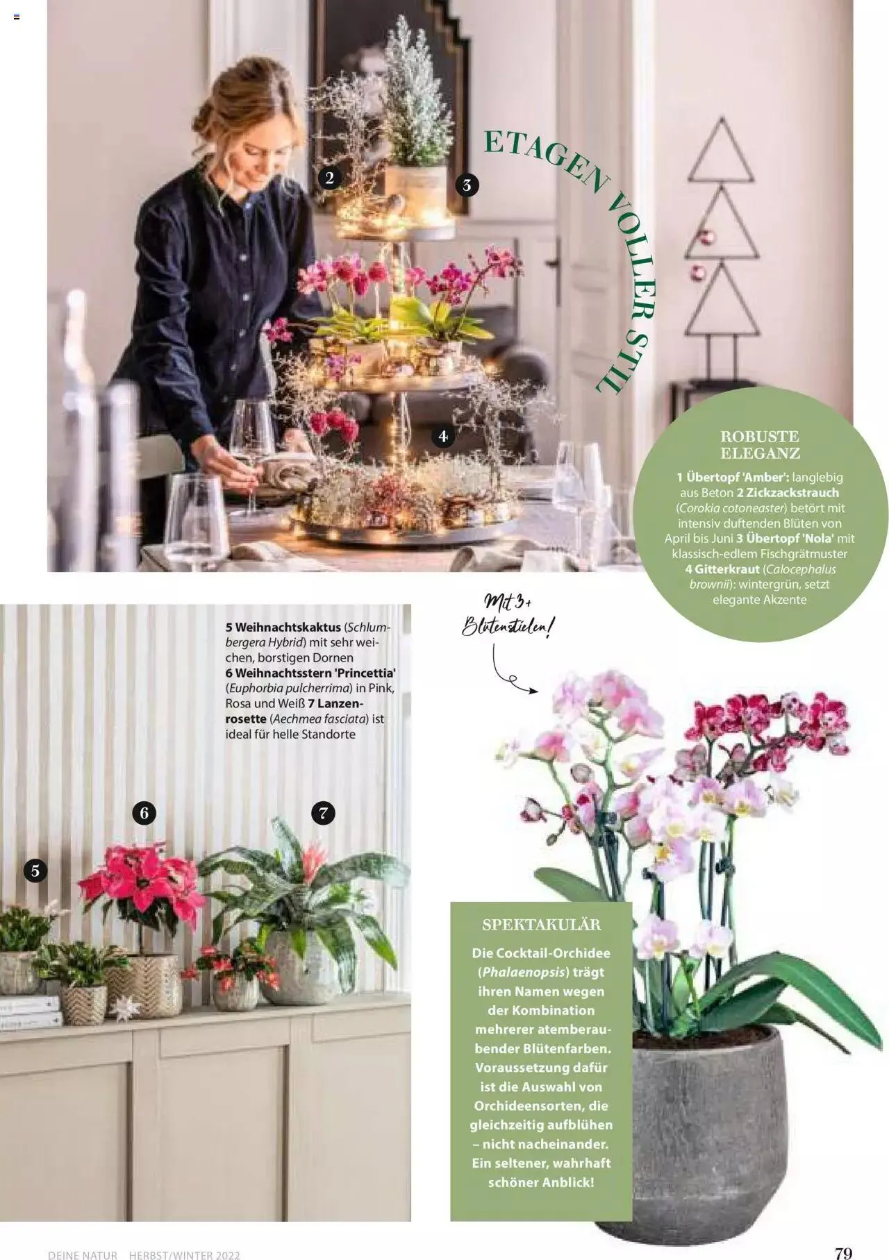 Dehner Flugblatt von 10. Oktober bis 31. Dezember 2023 - Flugblätt seite  79