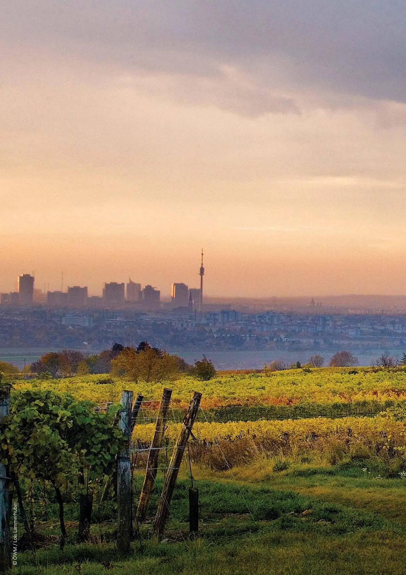 Kastner Flugblatt von 17. Juni bis 31. Dezember 2026 - Flugblätt seite  72