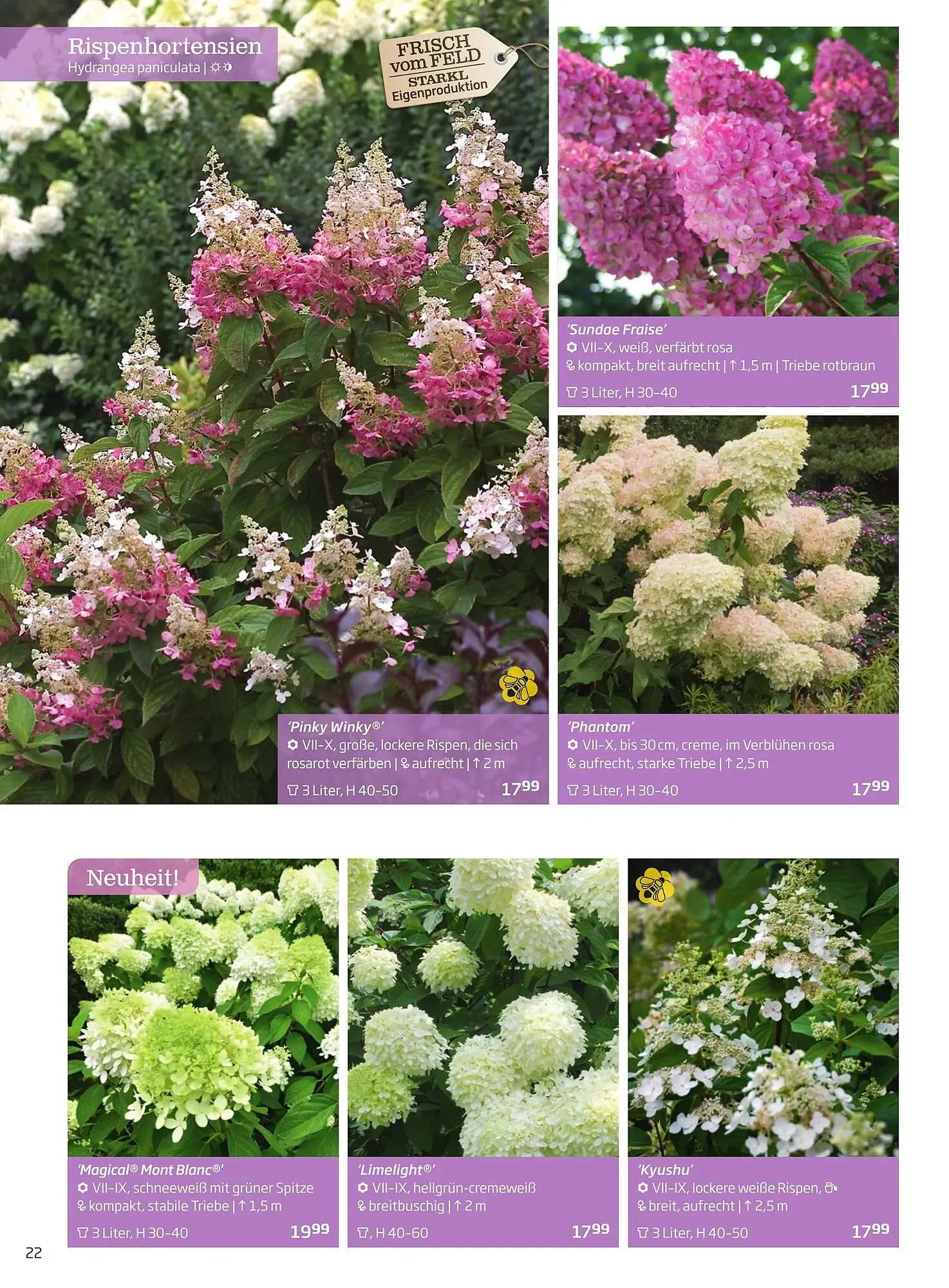 Starkl Flugblatt von 1. Jänner bis 31. Dezember 2023 - Flugblätt seite  22