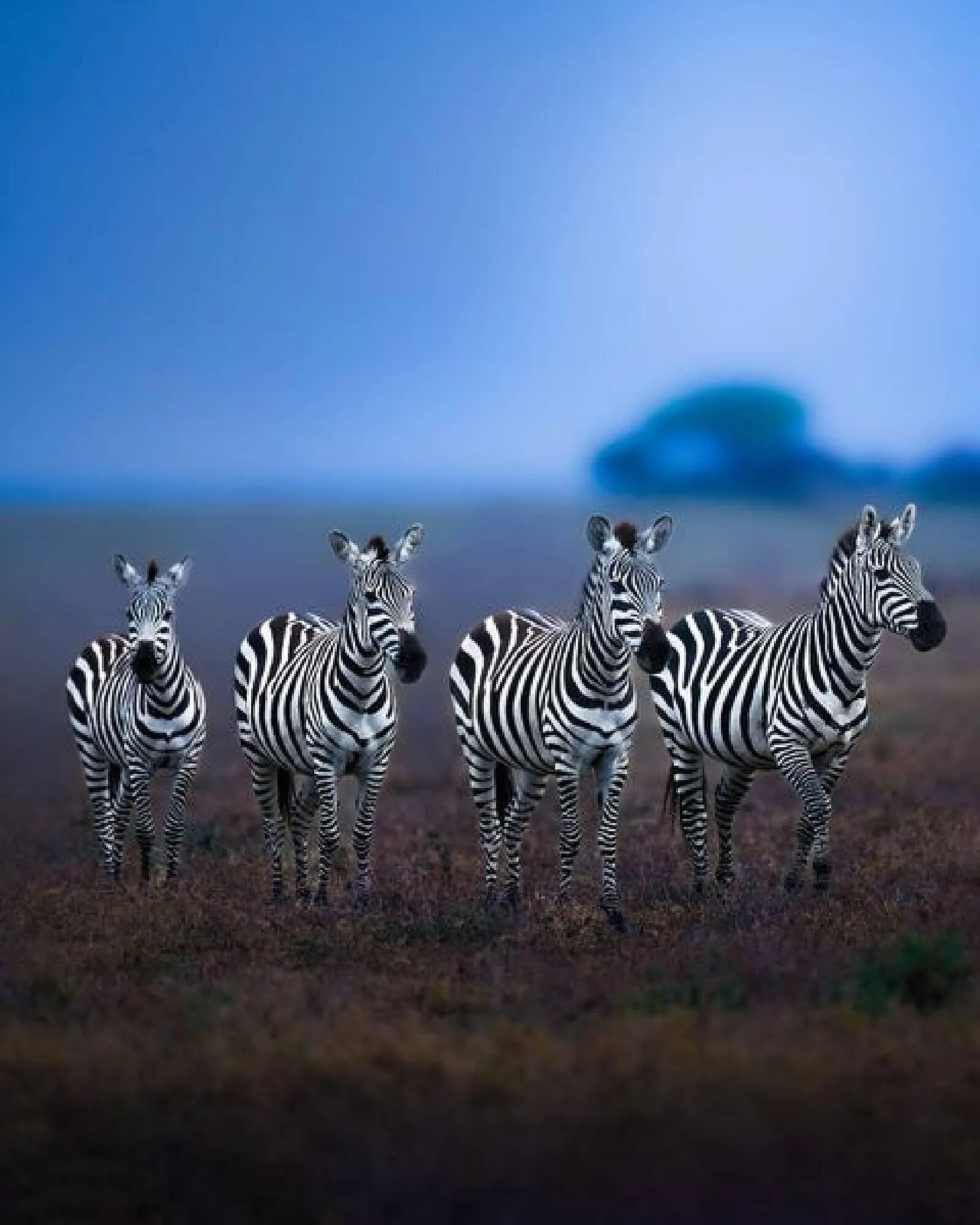 Sony Flugblatt von 6. März bis 19. März 2024 - Flugblätt seite 3