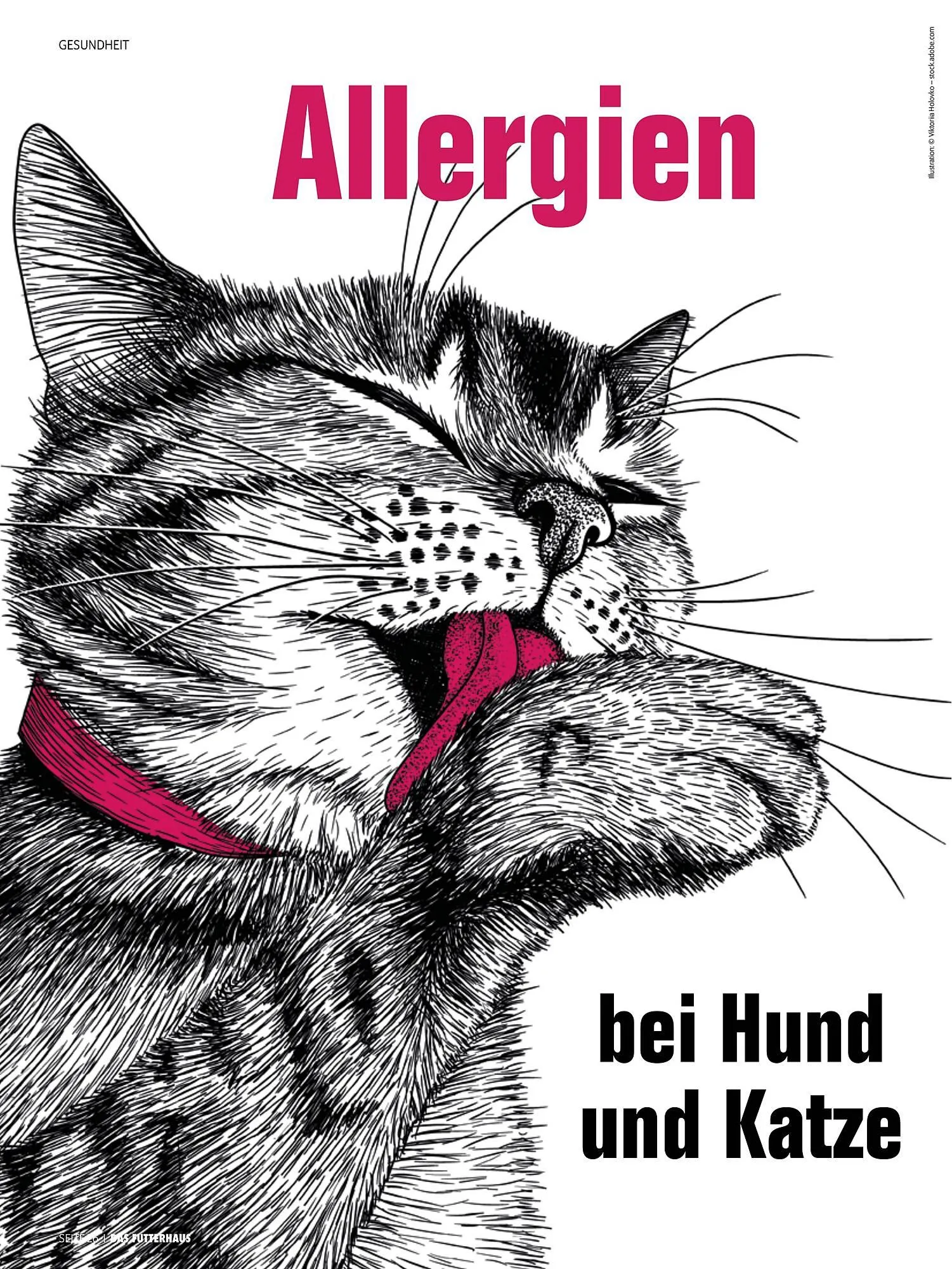 Das Futterhaus Prospekt von 16. Februar bis 8. März 2026 - Flugblätt seite  26