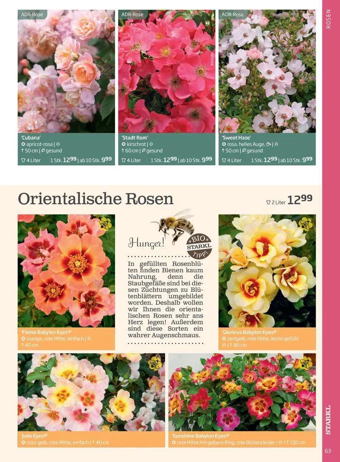 Gartencenter Jahreskatalog 2024 von 20. Mai bis 31. Dezember 2024 - Flugblätt seite  63