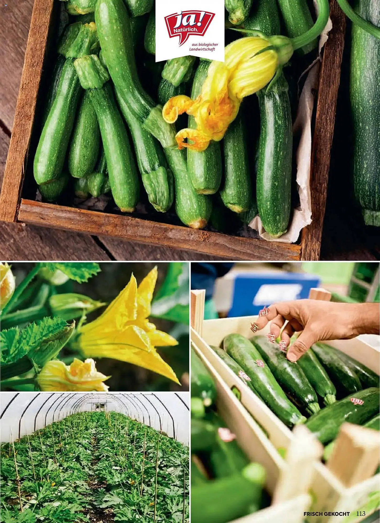 Billa Flugblatt von 1. Jänner bis 28. Februar 2026 - Flugblätt seite  109