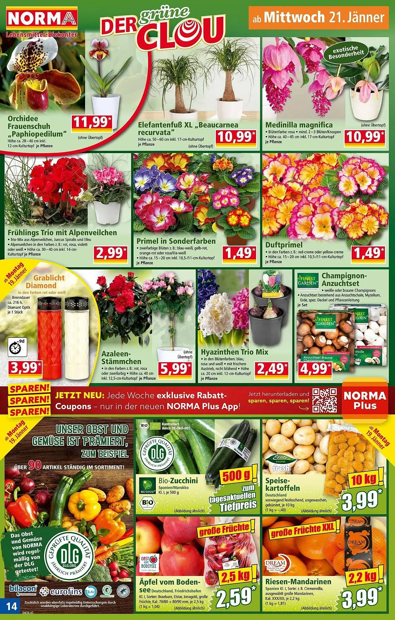Norma Prospekt von 19. Jänner bis 25. Jänner 2026 - Flugblätt seite  14