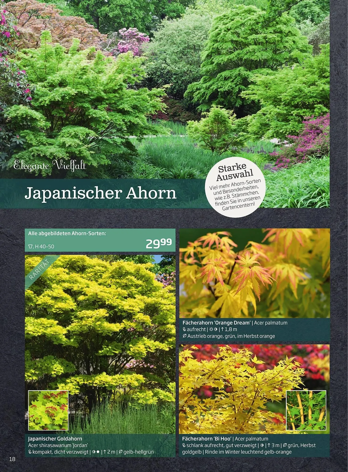 Starkl Flugblatt von 1. Jänner bis 31. Dezember 2023 - Flugblätt seite 18