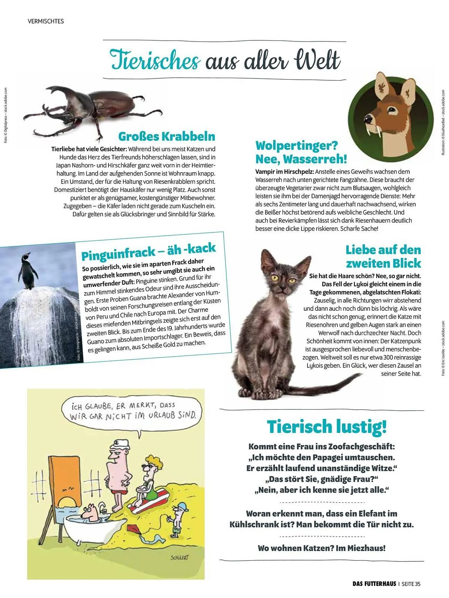 Das Futterhaus Flugblatt von 31. Mai bis 23. Juni 2024 - Flugblätt seite 35
