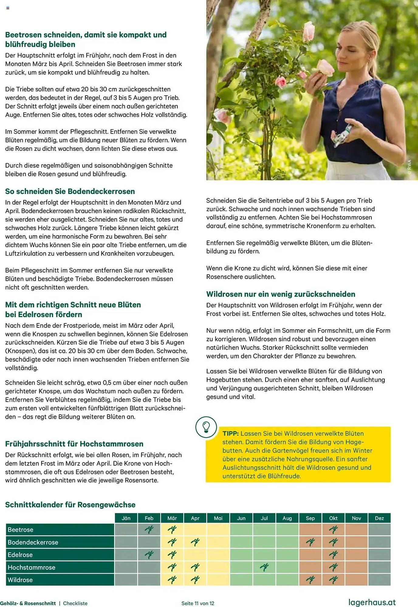 Lagerhaus Flugblatt von 20. Oktober bis 31. Dezember 2025 - Flugblätt seite  11