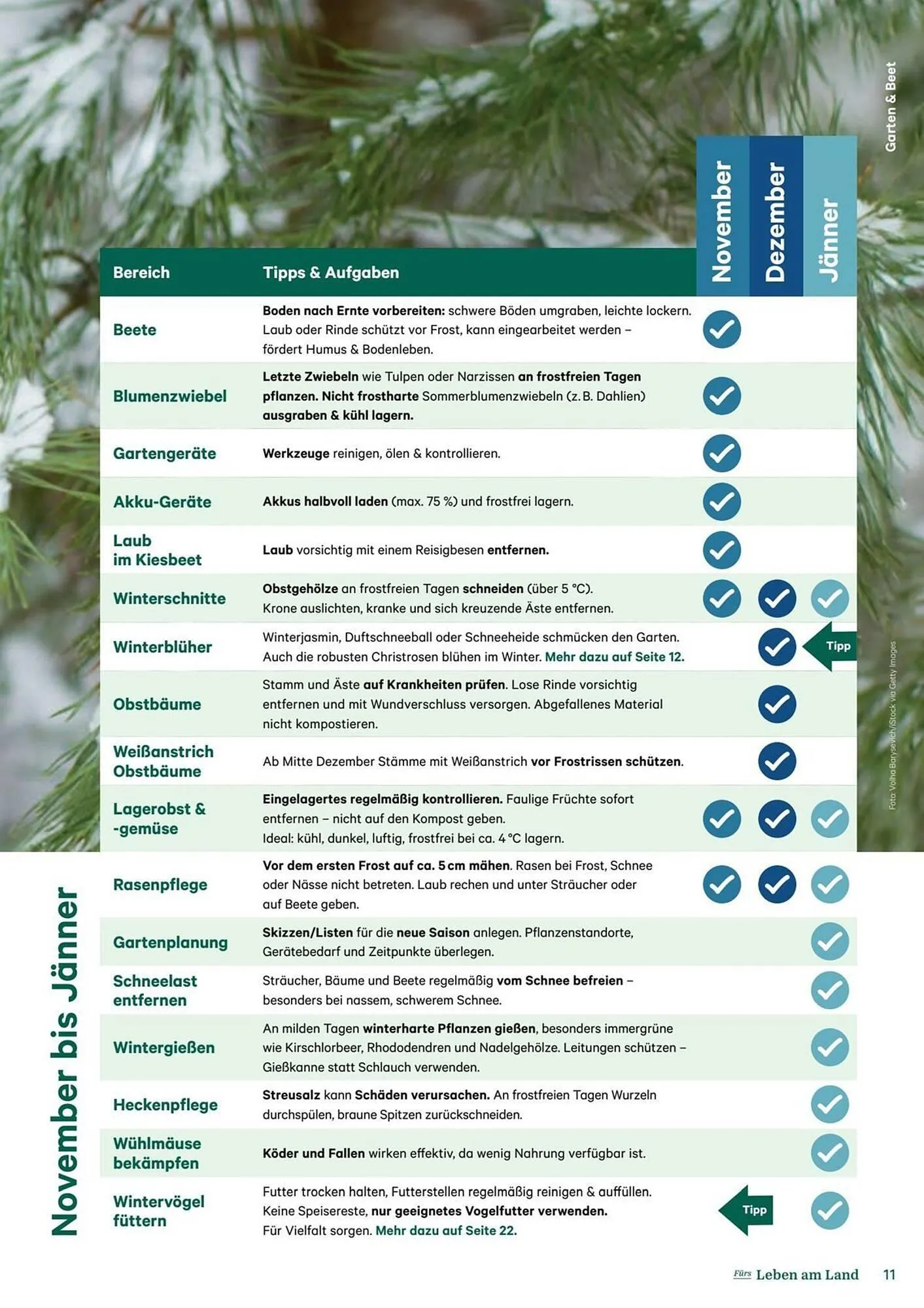 Lagerhaus Flugblatt von 11. Dezember bis 6. Februar 2026 - Flugblätt seite  11