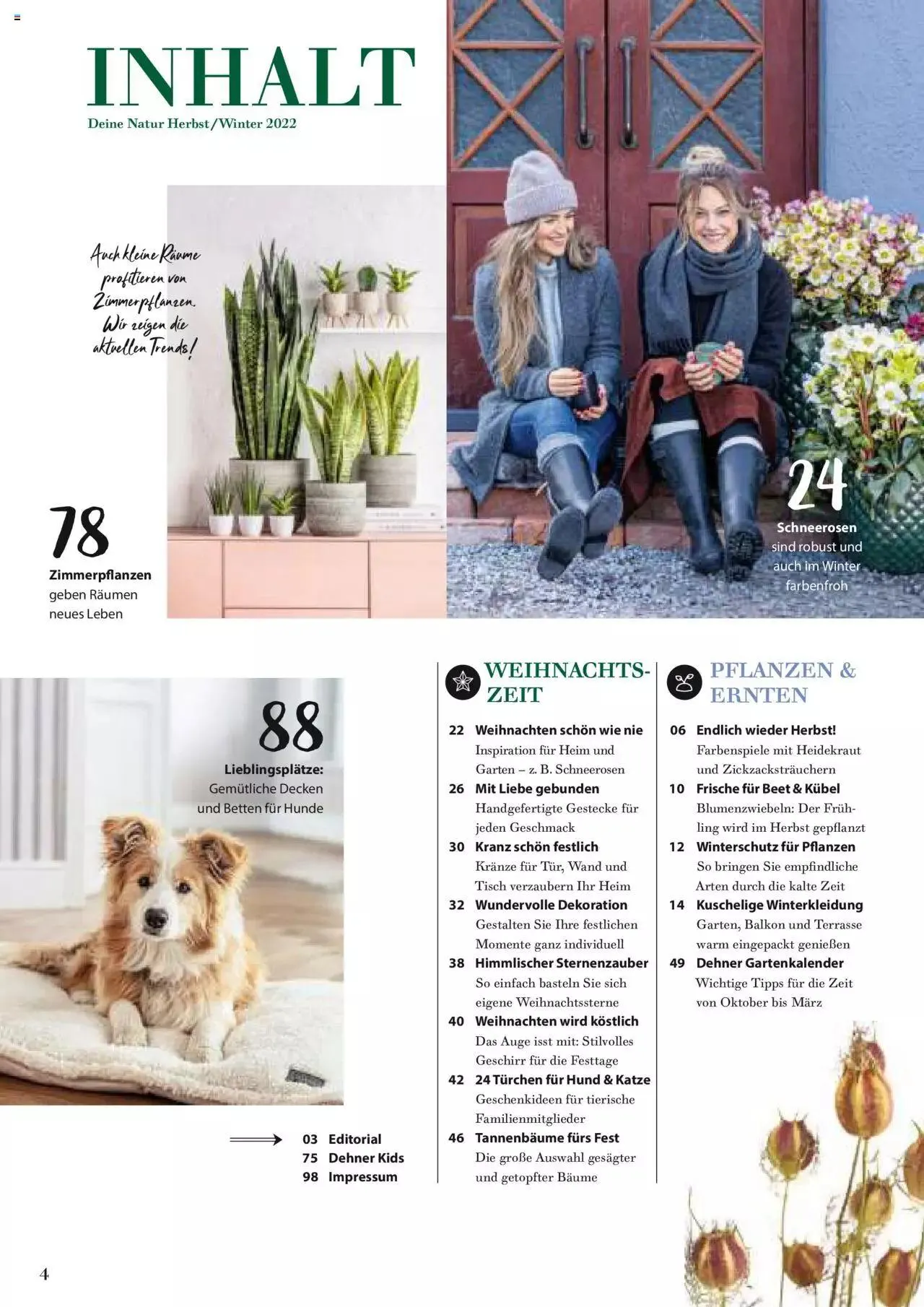 Dehner Flugblatt von 10. Oktober bis 31. Dezember 2023 - Flugblätt seite 4