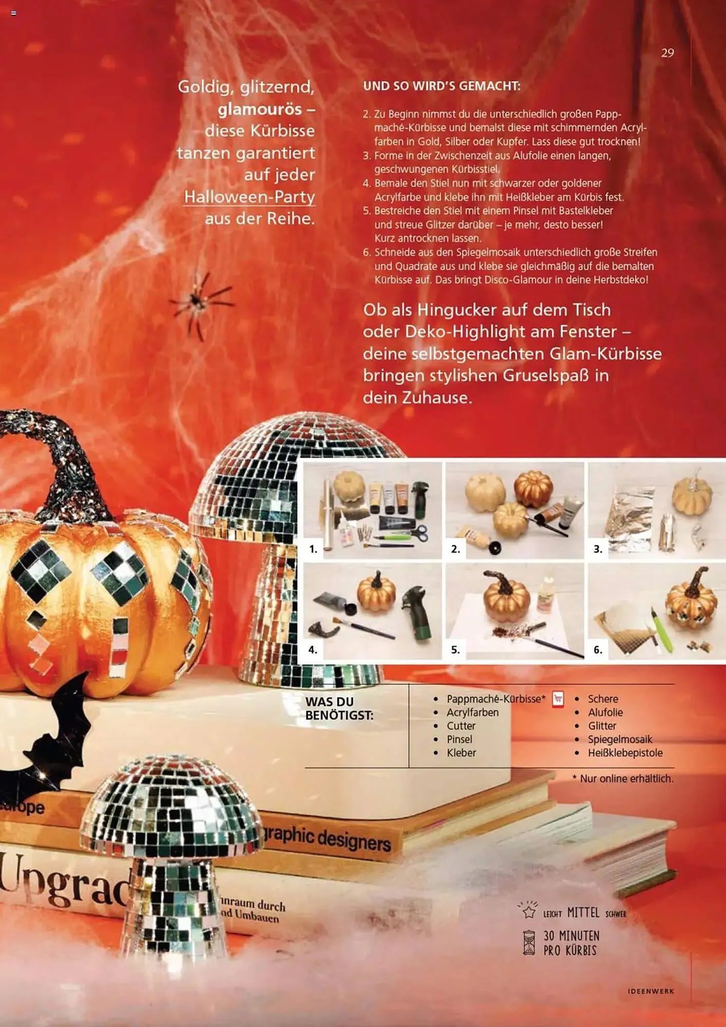 Pagro Diskont Flugblatt von 17. September bis 12. Dezember 2025 - Flugblätt seite  29