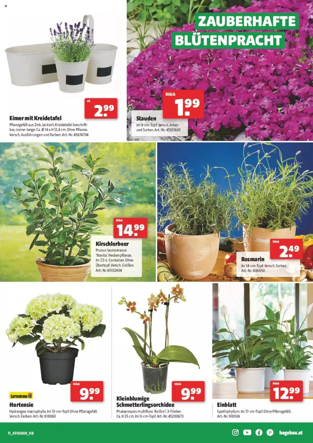 Hagebau Flugblatt von 28. Februar bis 9. März 2024 - Flugblätt seite  11