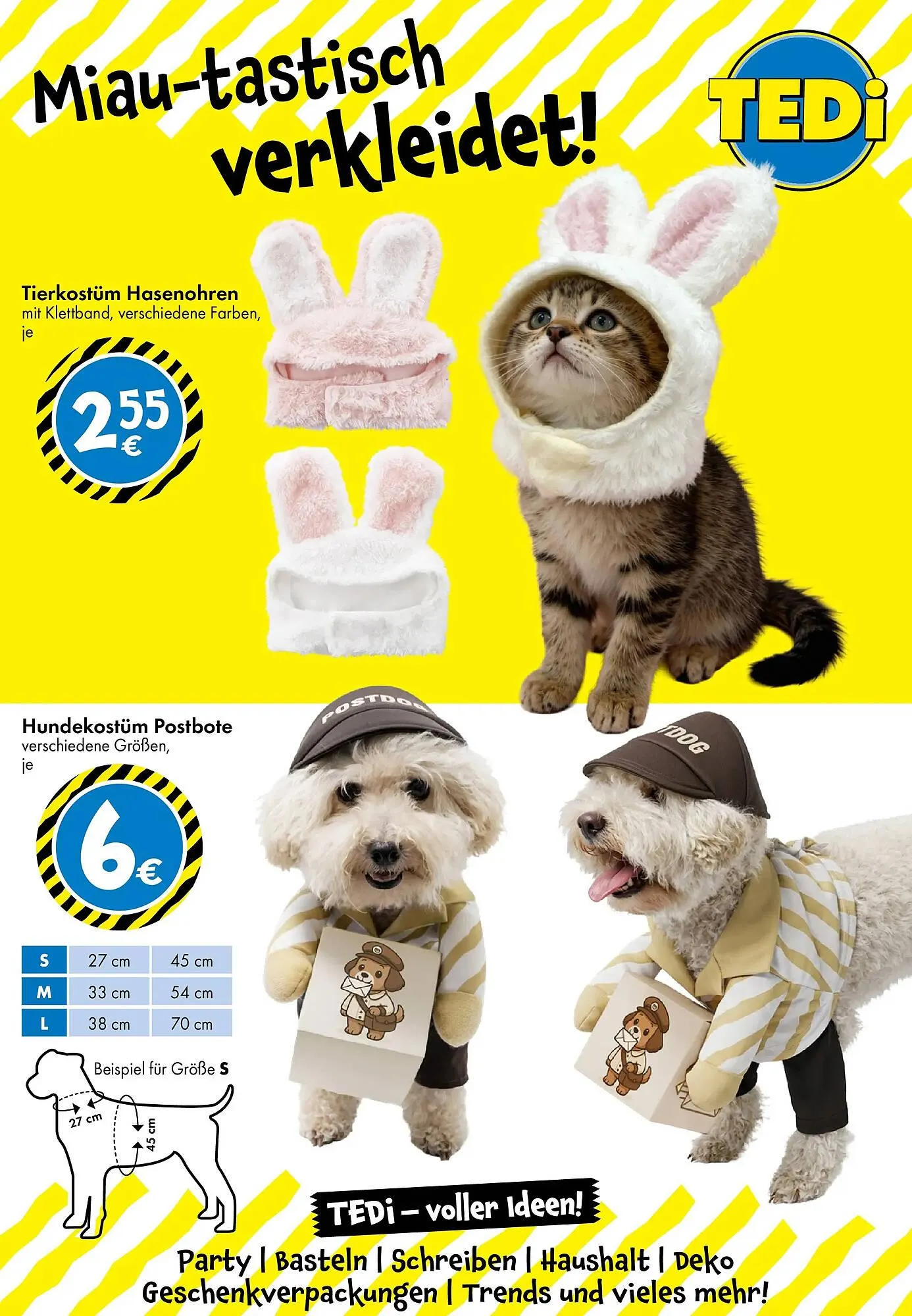 TEDi Prospekt von 30. Jänner bis 7. Februar 2026 - Flugblätt seite  7