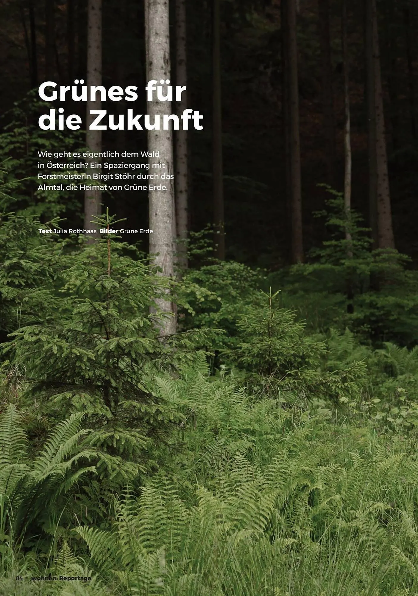 Grüne Erde Flugblatt von 31. Juli bis 31. Dezember 2025 - Flugblätt seite  84