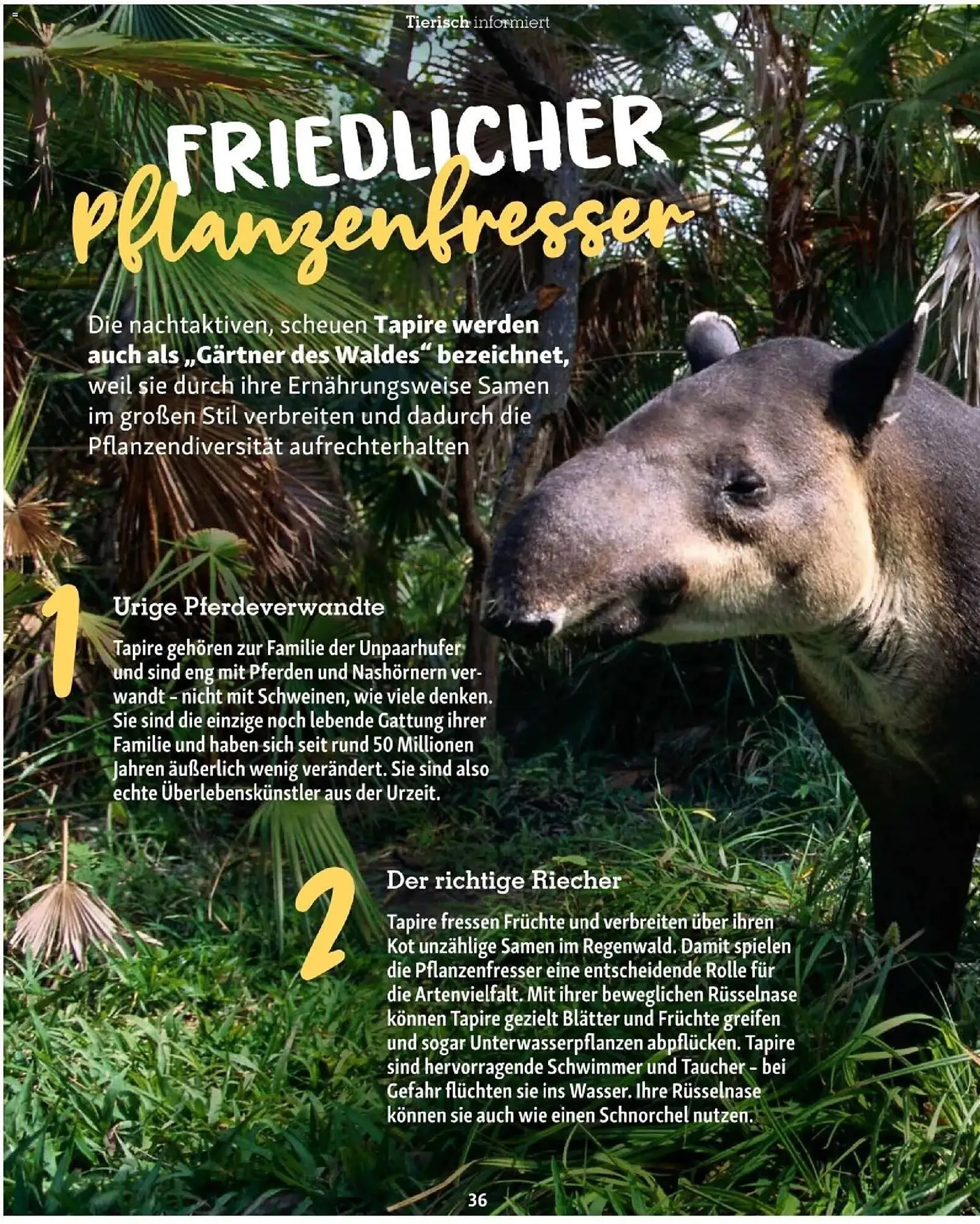 Fressnapf Flugblatt von 1. Jänner bis 28. Februar 2026 - Flugblätt seite  36