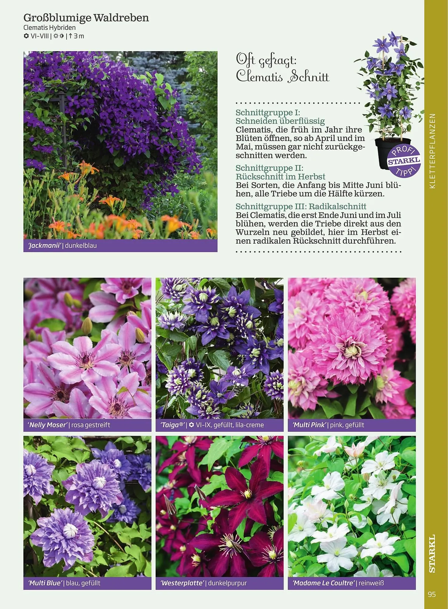 Starkl Flugblatt von 6. Juni bis 31. Dezember 2025 - Flugblätt seite 95