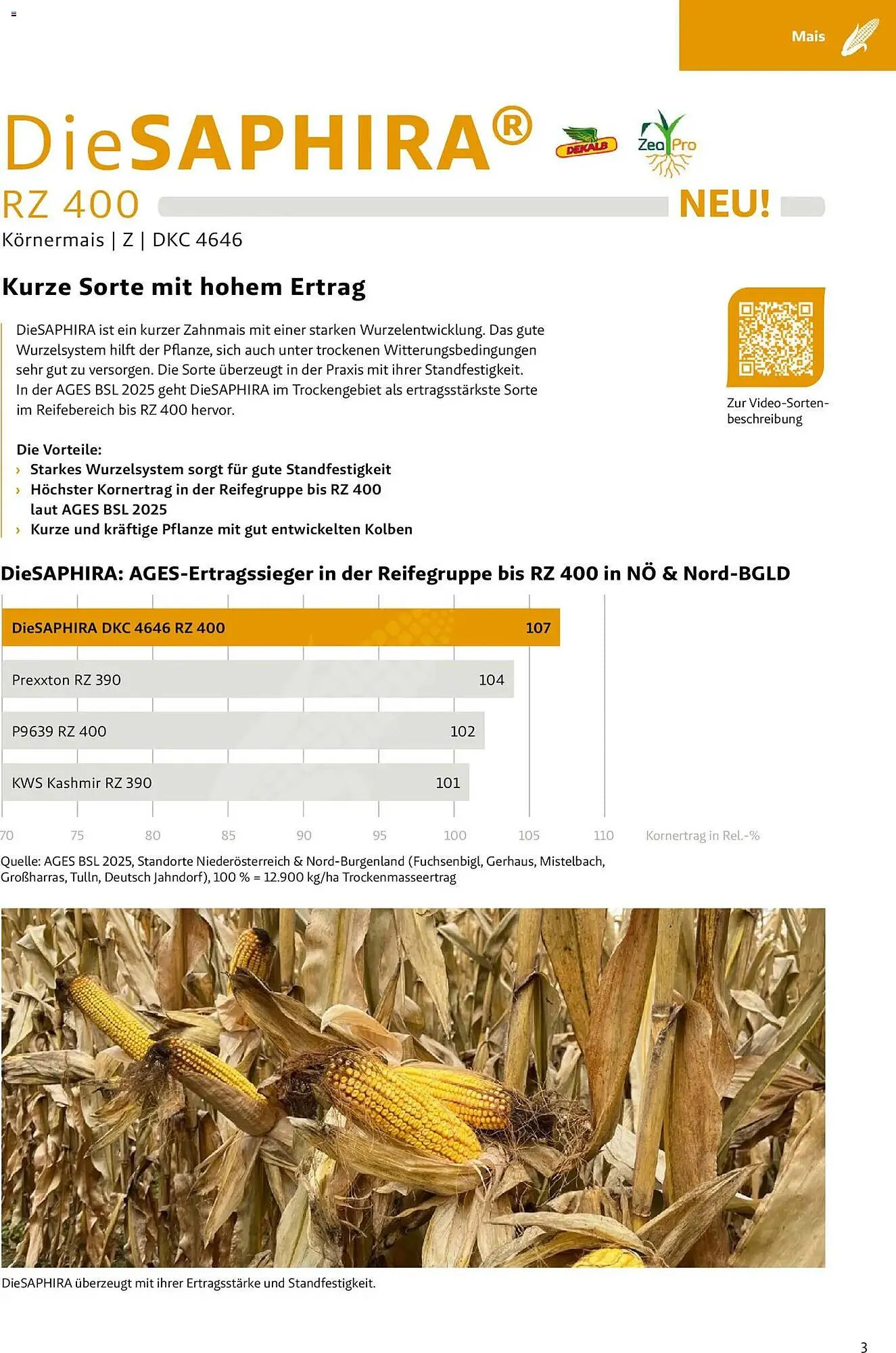 Lagerhaus Flugblatt von 1. März bis 31. Mai 2026 - Flugblätt seite  3