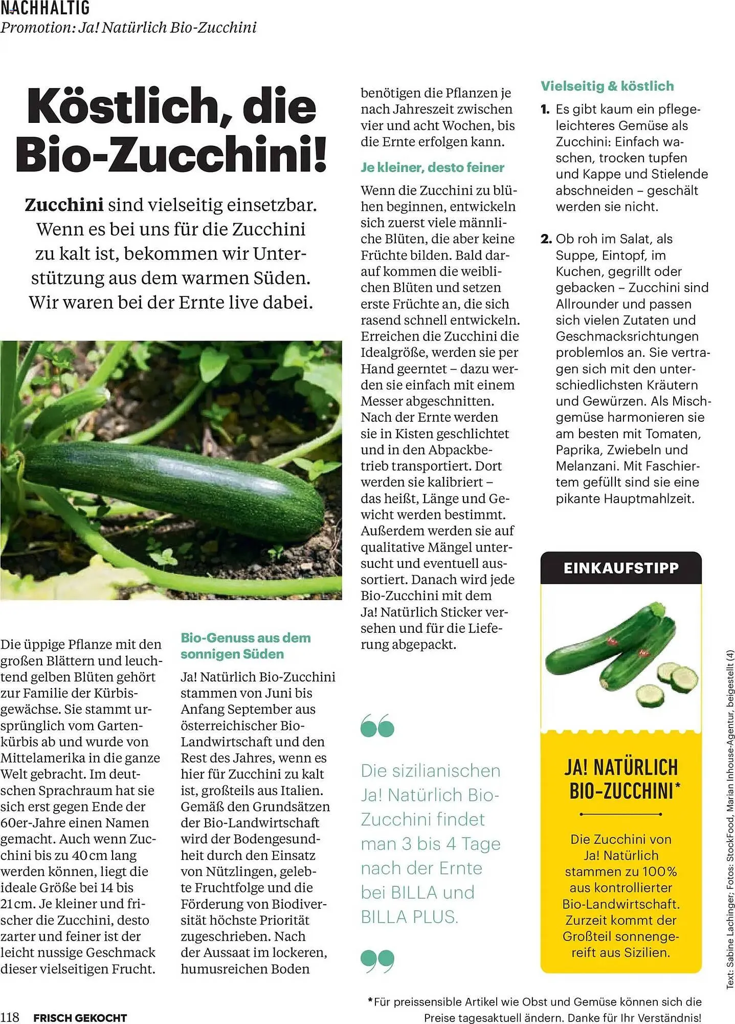 Billa Flugblatt von 1. Dezember bis 31. Dezember 2025 - Flugblätt seite  118