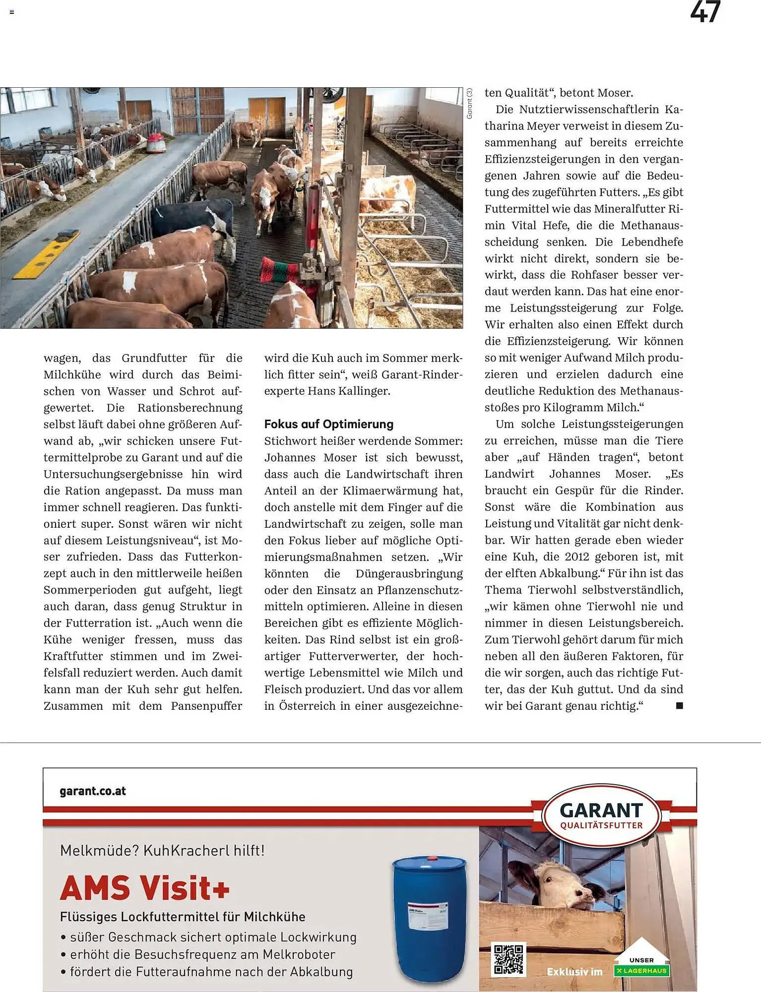 Lagerhaus Flugblatt von 1. Dezember bis 31. Dezember 2025 - Flugblätt seite 47