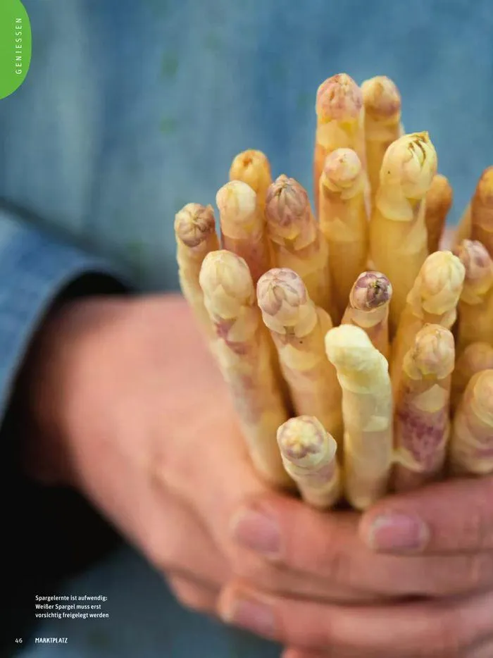 Basic Biomarkt Flugblatt von 22. Mai bis 30. Juni 2024 - Flugblätt seite 46