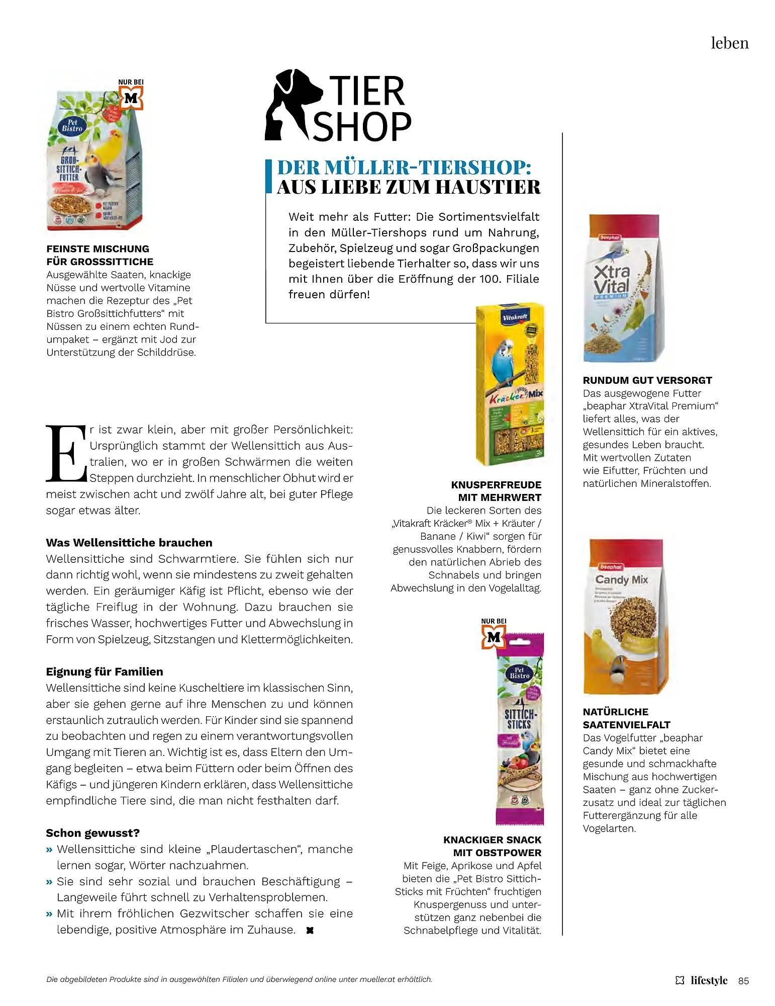 Müller Flugblatt von 1. Jänner bis 28. Februar 2026 - Flugblätt seite  85