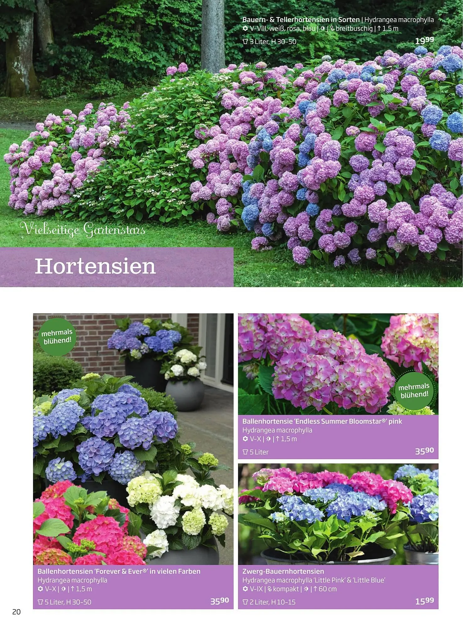 Starkl Flugblatt von 1. April bis 31. Dezember 2024 - Flugblätt seite  20