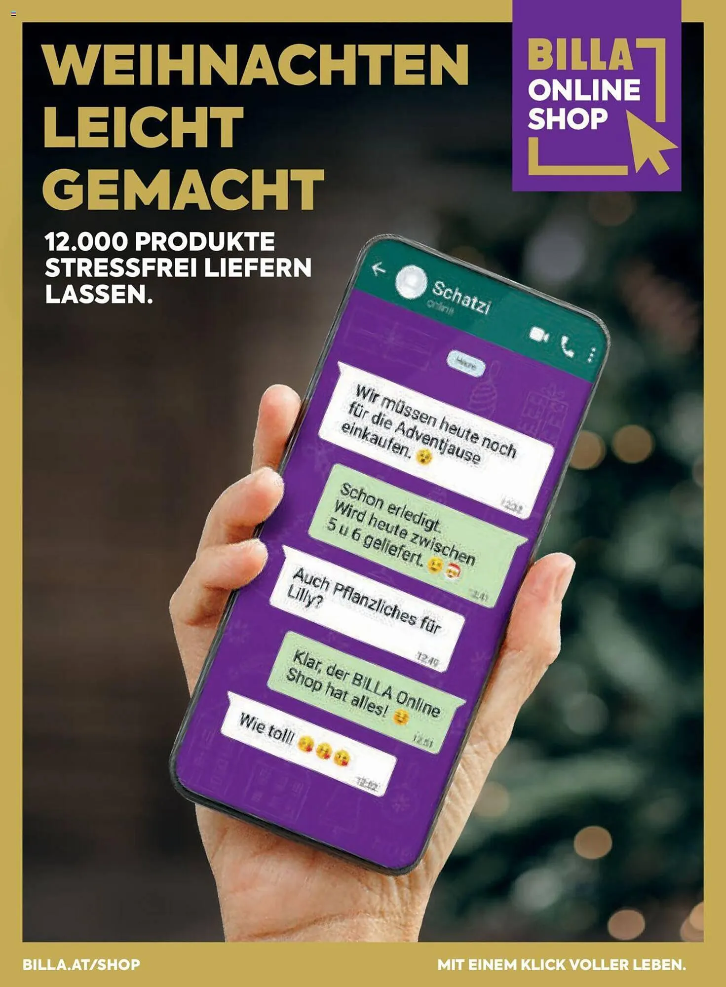 Billa Flugblatt von 1. Dezember bis 31. Dezember 2023 - Flugblätt seite 16