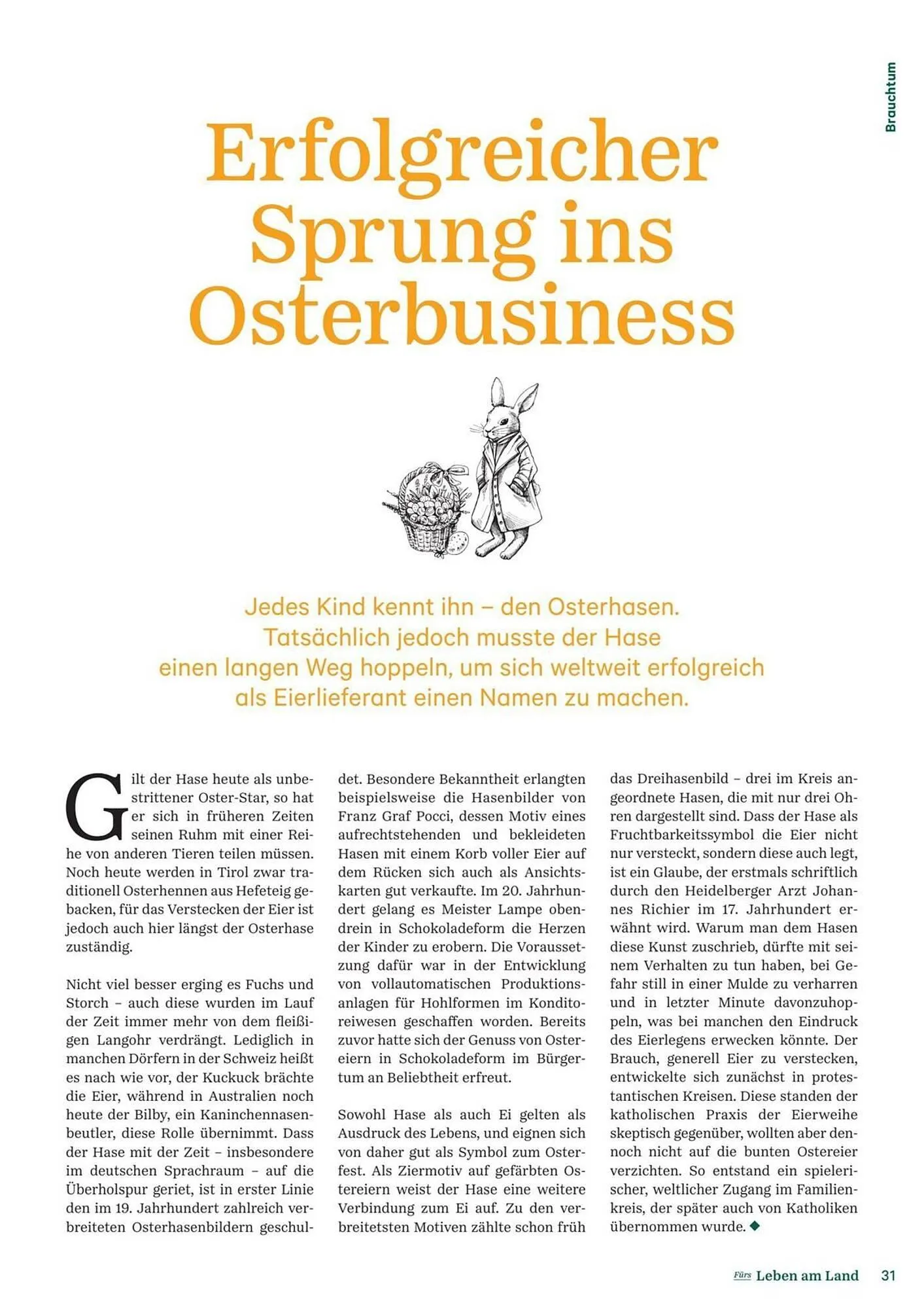 Lagerhaus Flugblatt von 1. Februar bis 28. Februar 2026 - Flugblätt seite  31