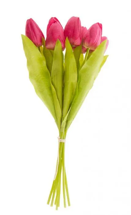 Strauß Tulpe, 6 Blüten, pink, 40 cm