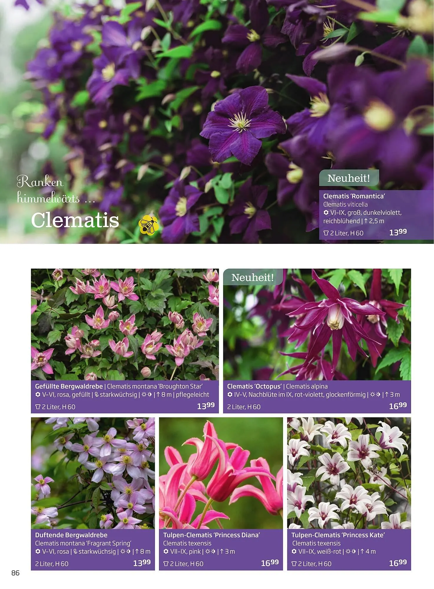 Starkl Flugblatt von 1. Jänner bis 31. Dezember 2023 - Flugblätt seite  86