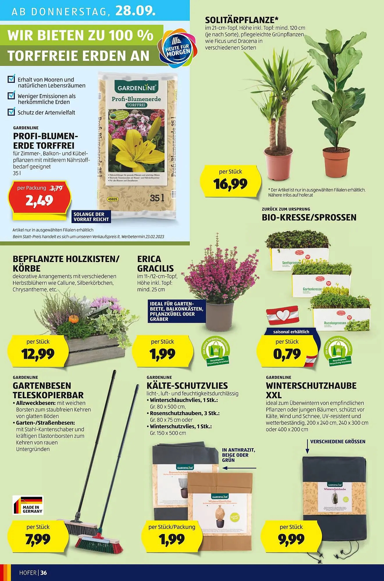 Hofer Flugblatt von 22. September bis 28. September 2023 - Flugblätt seite 38
