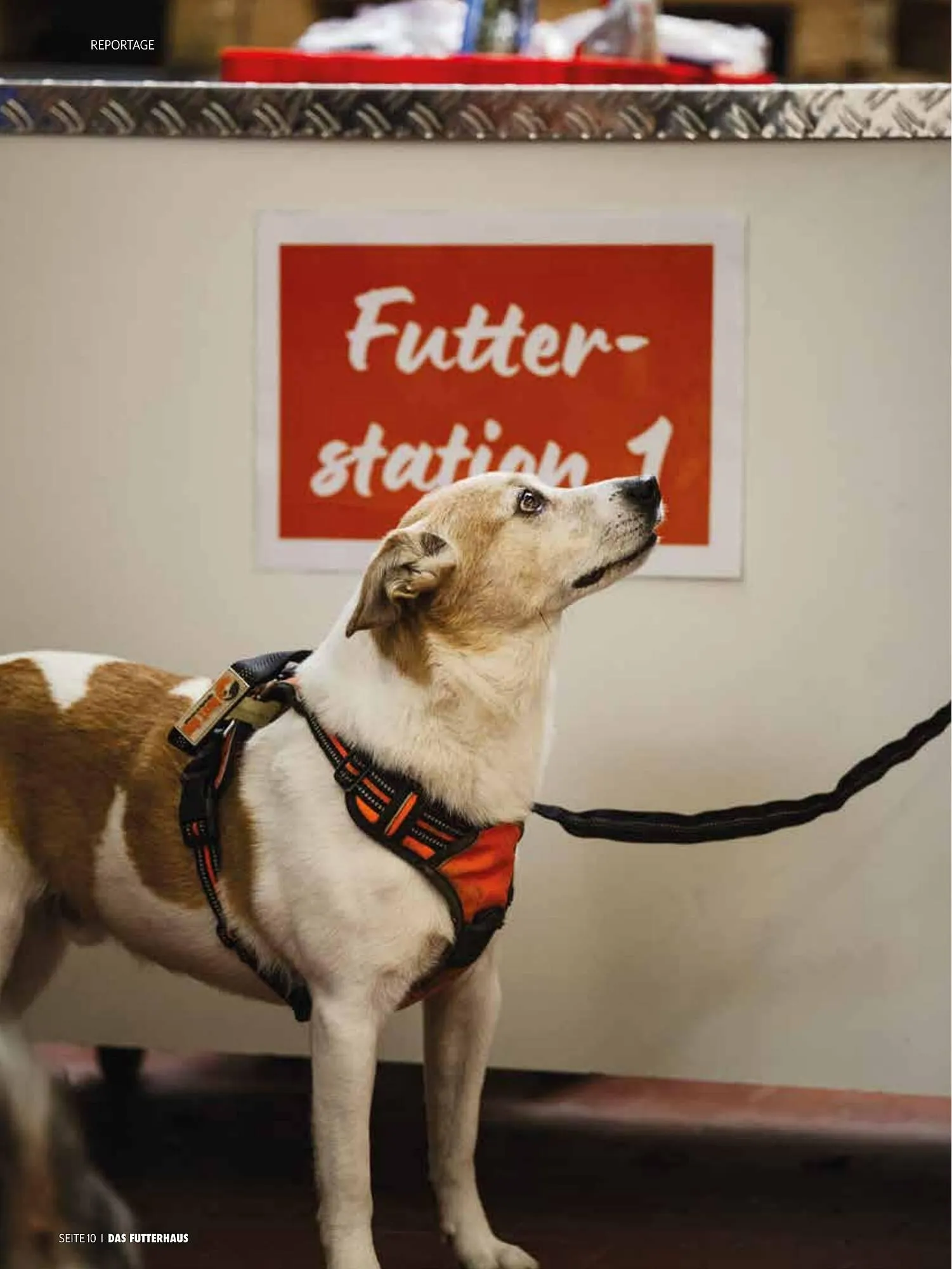 Das Futterhaus Prospekt von 17. Dezember bis 6. Jänner 2026 - Flugblätt seite 10