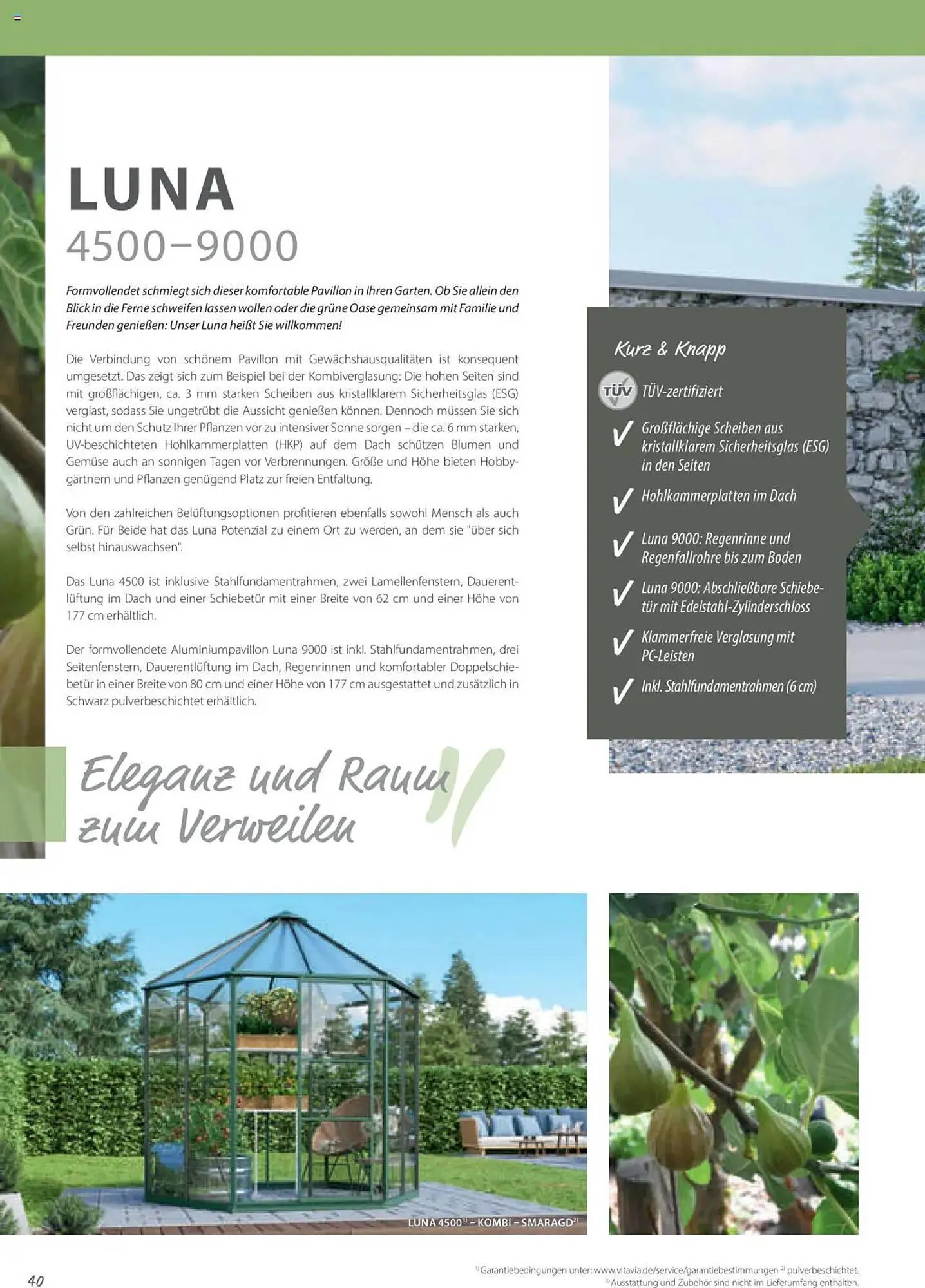 Dehner Prospekt von 1. Januar bis 31. Dezember 2025 - Prospekt seite 40