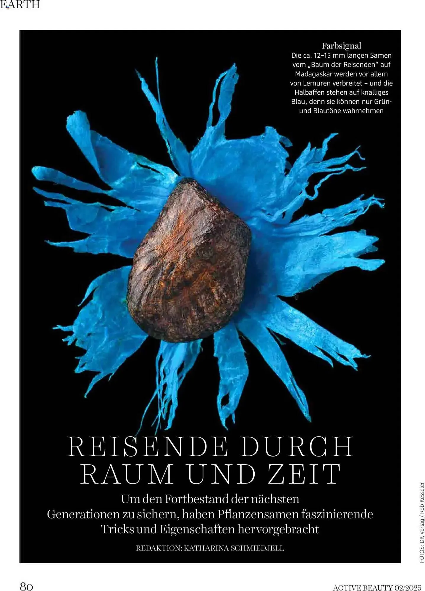 dm Flugblatt von 5. Februar bis 28. Februar 2025 - Flugblätt seite  80