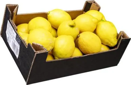 BIO Zitronen frisch Spanien