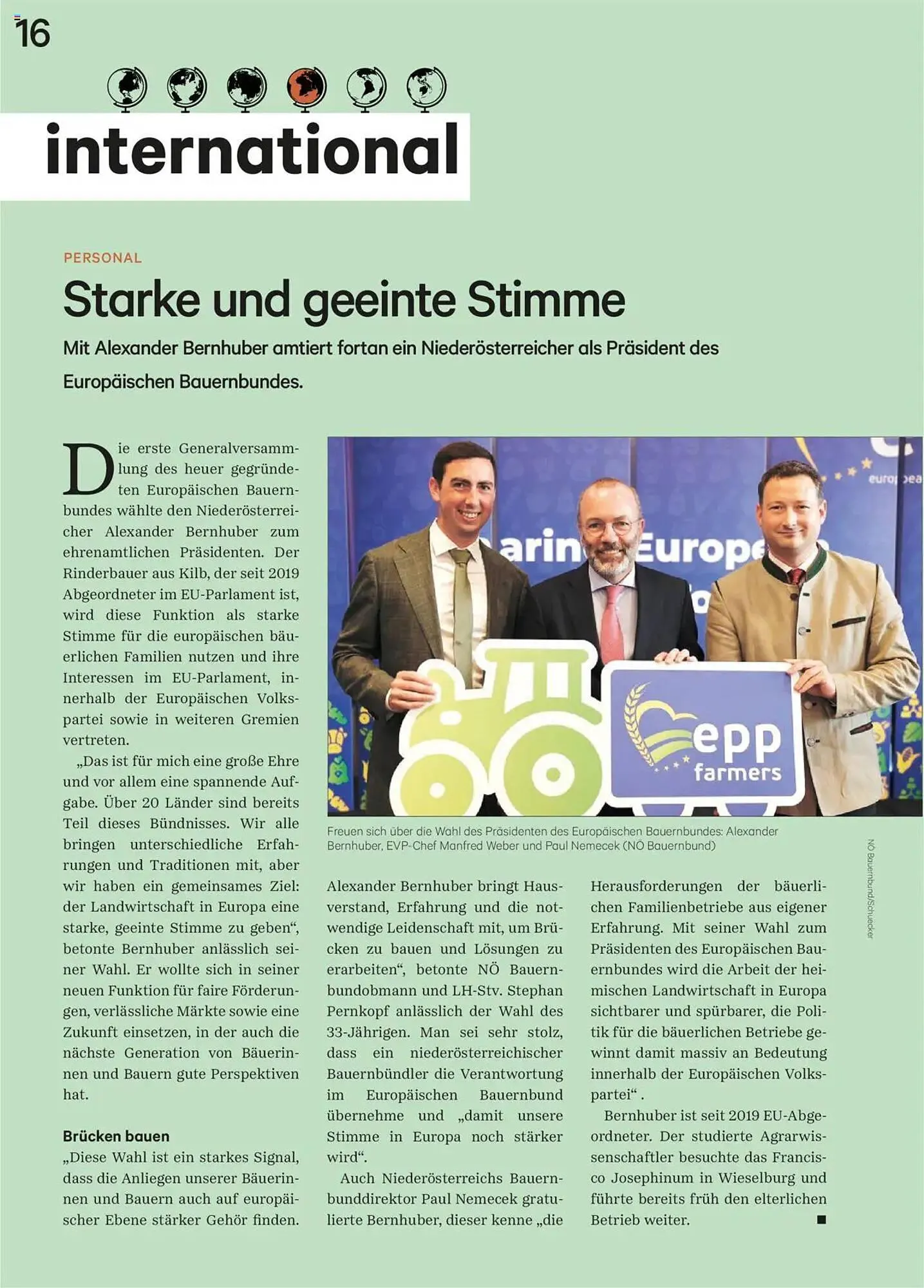 Lagerhaus Flugblatt von 1. November bis 30. November 2025 - Flugblätt seite  16