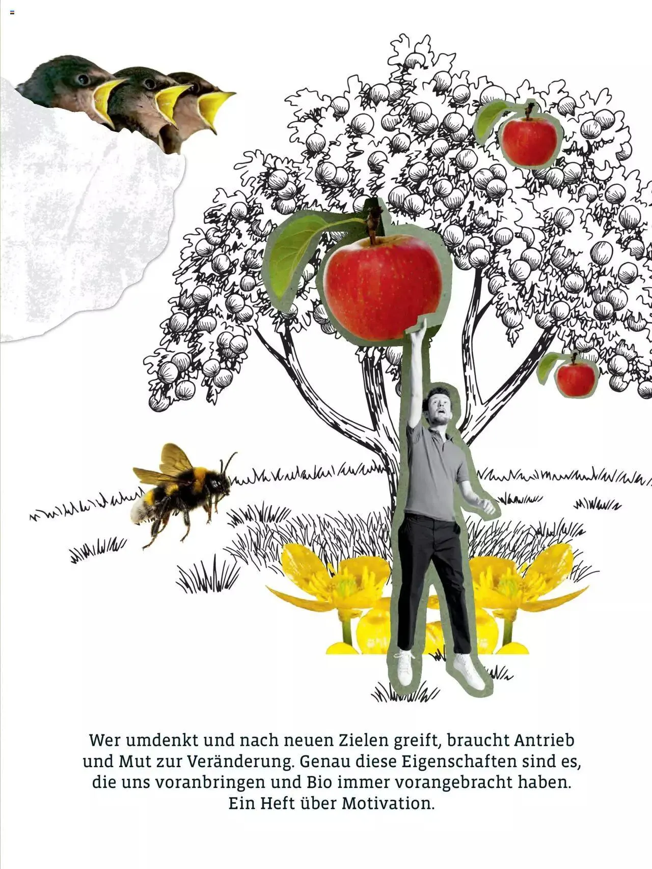 Denns BioMarkt KREO Magazin von 14. Februar bis 3. März 2024 - Flugblätt seite  3