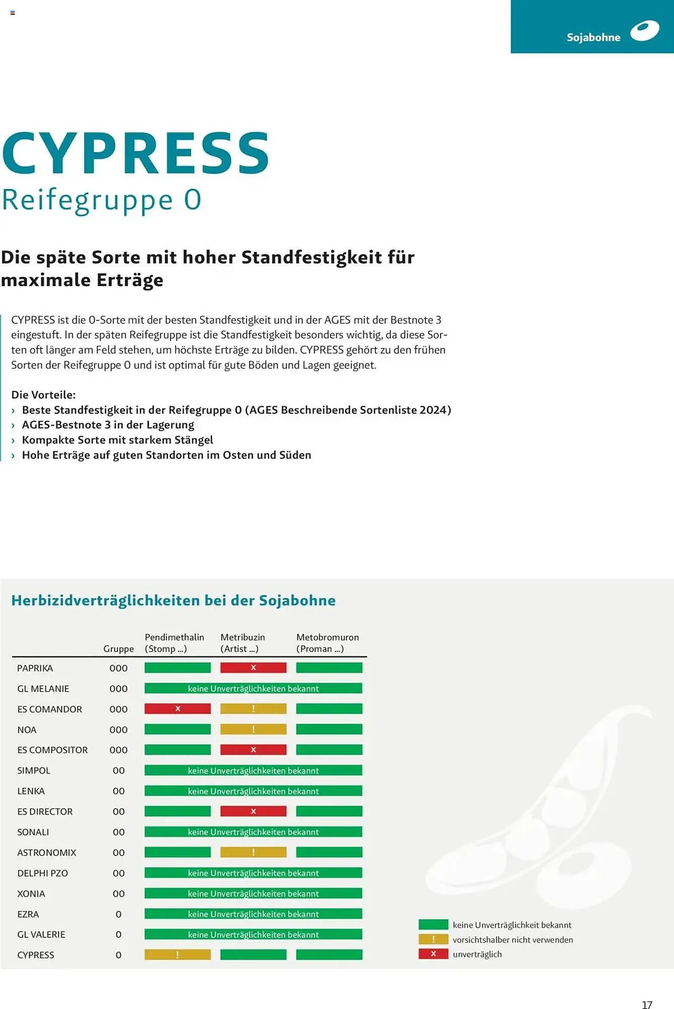 Lagerhaus Flugblatt von 4. Dezember bis 2. Juni 2025 - Flugblätt seite 17