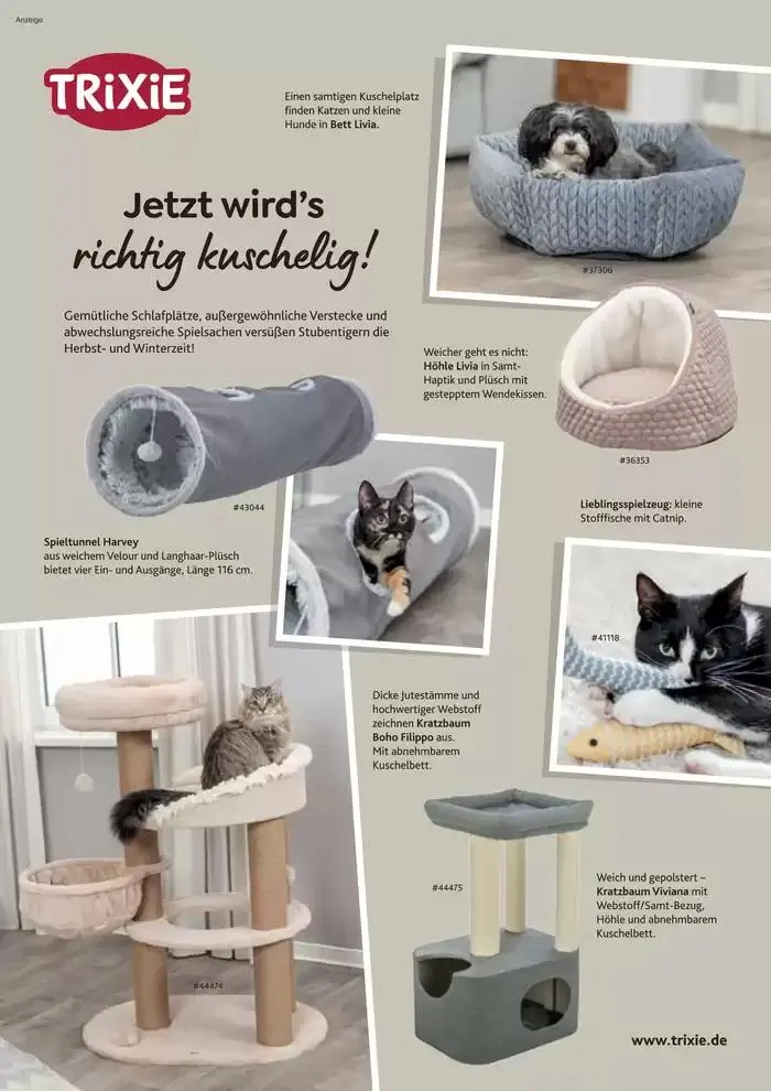 Angebote ZOO & Co von 29. November bis 13. Dezember 2024 - Flugblätt seite 2