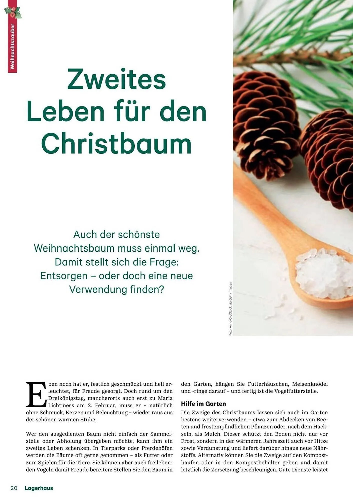 Lagerhaus Flugblatt von 11. Dezember bis 6. Februar 2026 - Flugblätt seite  20